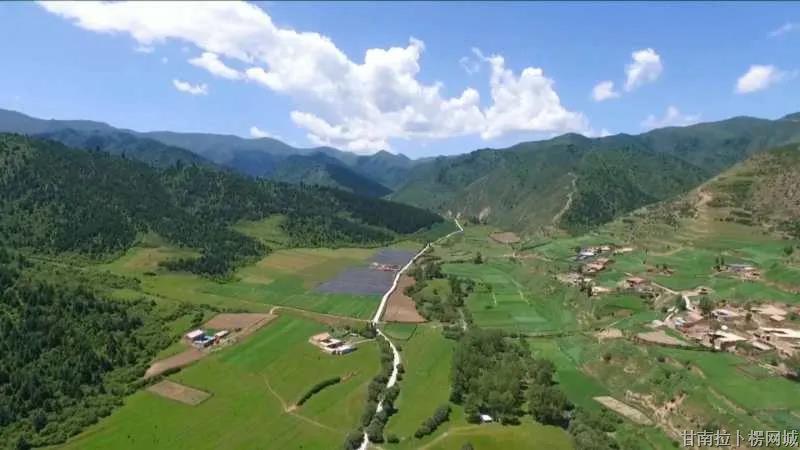 【走向我们的小康生活】药材飘香助脱贫